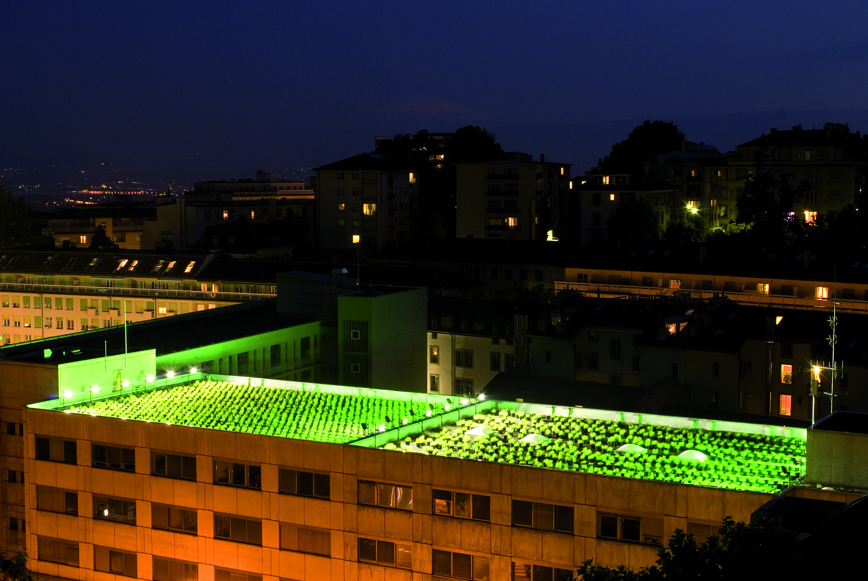2.8 Golden Garden ©L.Baud